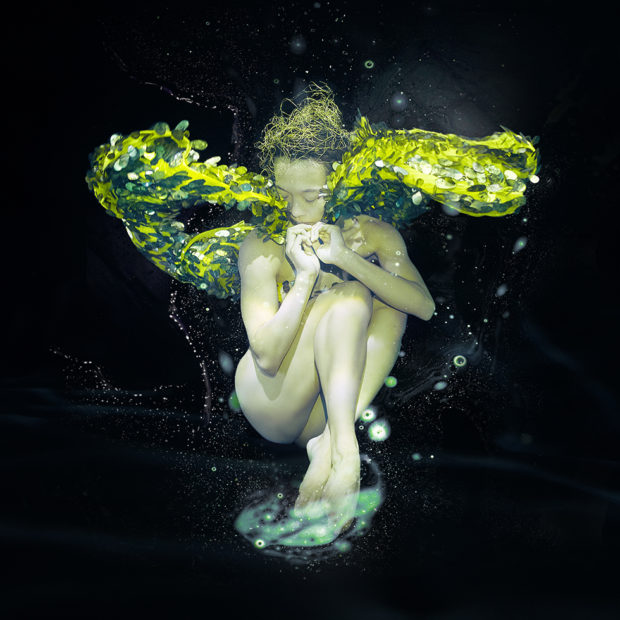 Underwater photography by Zena Holloway