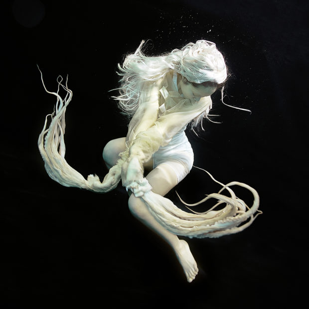 Underwater photography by Zena Holloway